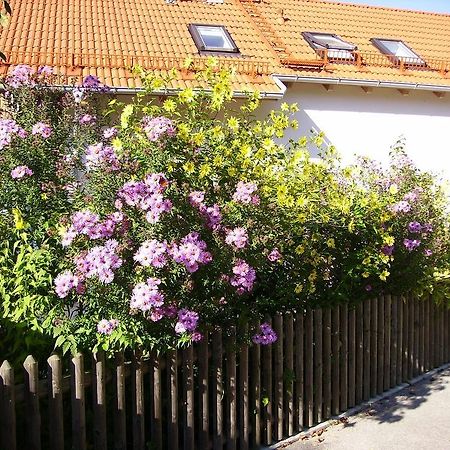 Villa Wiflinger Graben Einfamilienhaus à Wörth Extérieur photo