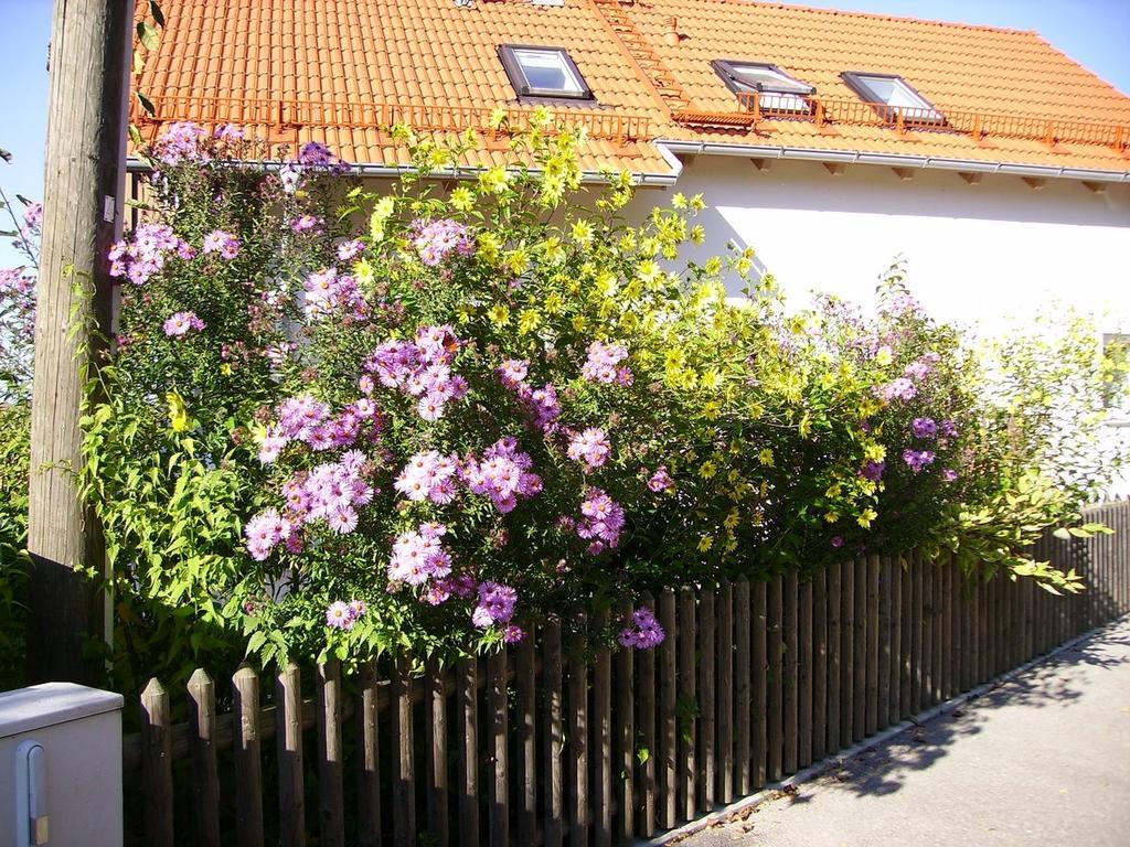 Villa Wiflinger Graben Einfamilienhaus à Wörth Extérieur photo
