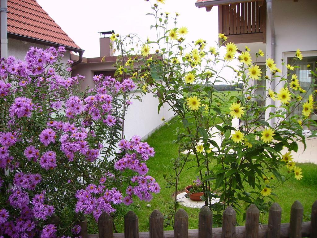 Villa Wiflinger Graben Einfamilienhaus à Wörth Extérieur photo